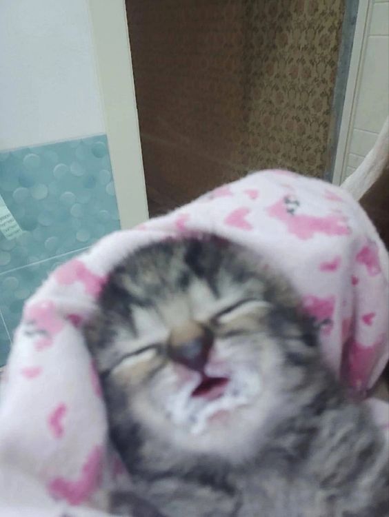 Random image